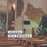 W kościele wybrzmią najpiękniejsze kolędy i pastorałki w wyjątkowym wykonaniu. 