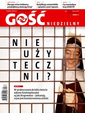 (Bez)użyteczni?