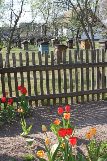 Sierpc. Skansen wiosną