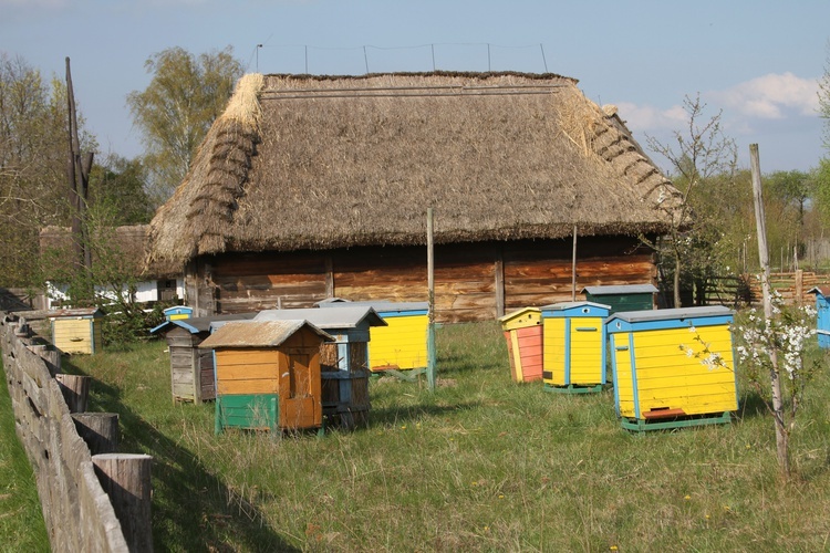 Sierpc. Skansen wiosną