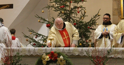 Święci Franciszek i Antoni