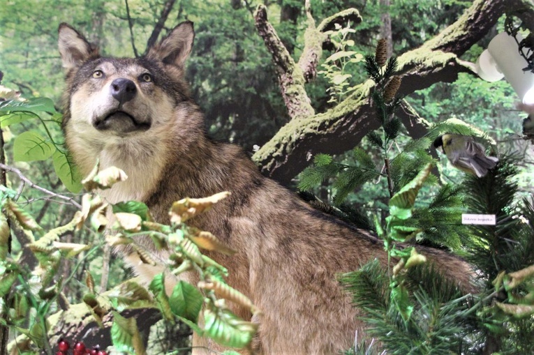 Natura się otworzyła