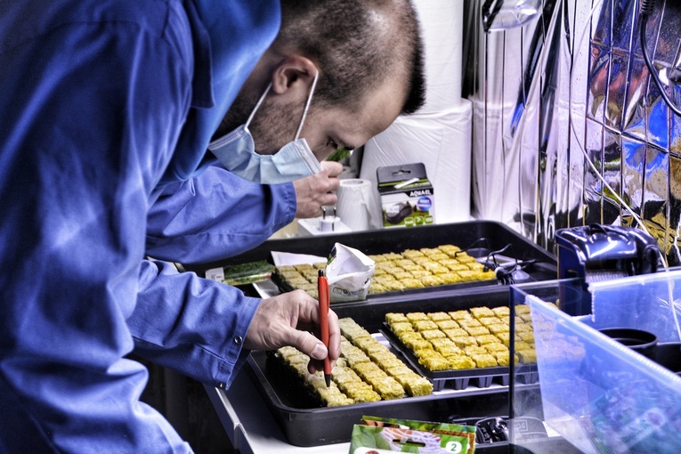 Kosmiczna misja w Pile