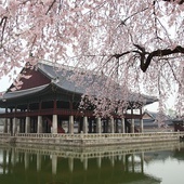 20 neoprezbiterów w Seulu, „wiosna powołań” w Korei Płd.