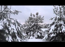 Paweł Orkisz - Ballada zimowa (Ballady o miłości)