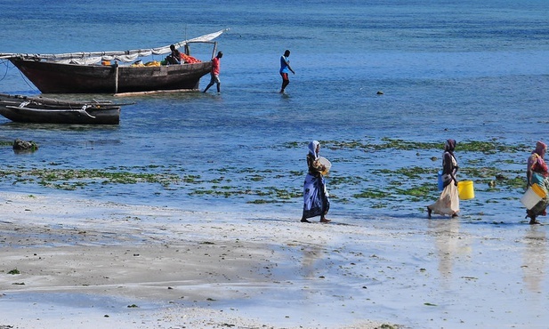 Wiceprezydent Zanzibaru zmarł na Covid-19 - to obala przekonanie, że Tanzania jest wolna od koronawirusa