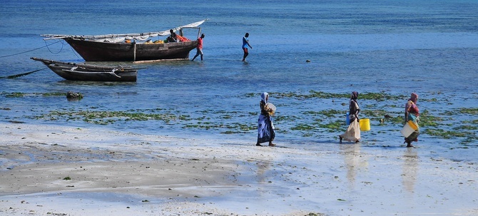 Wiceprezydent Zanzibaru zmarł na Covid-19 - to obala przekonanie, że Tanzania jest wolna od koronawirusa