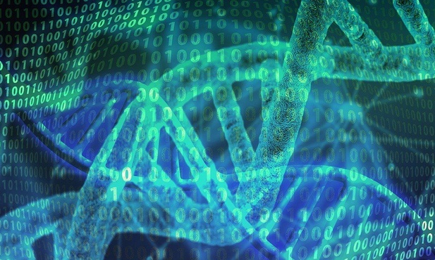 DNA