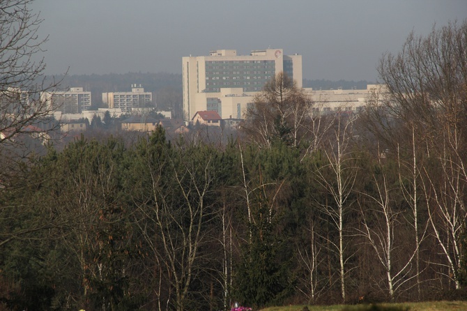 Rybnik. Pierwszy pochówek dzieci utraconych