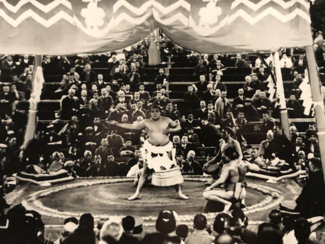 Stalowa Wola. W Kraju Kwitnącej Wiśni