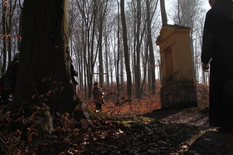 Trzebnica. Droga Krzyżowa w duchu Camino