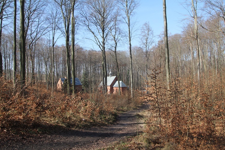 Trzebnica. Droga Krzyżowa w duchu Camino