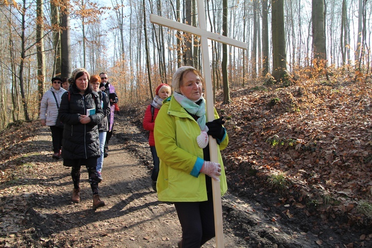 Trzebnica. Droga Krzyżowa w duchu Camino