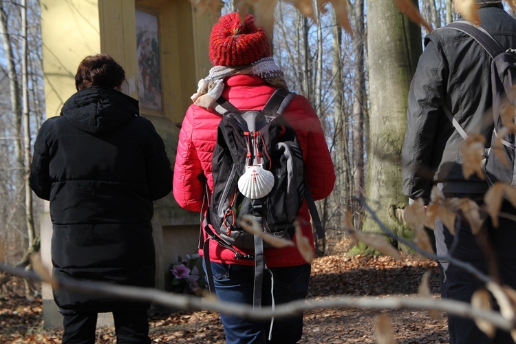 Trzebnica. Droga Krzyżowa w duchu Camino