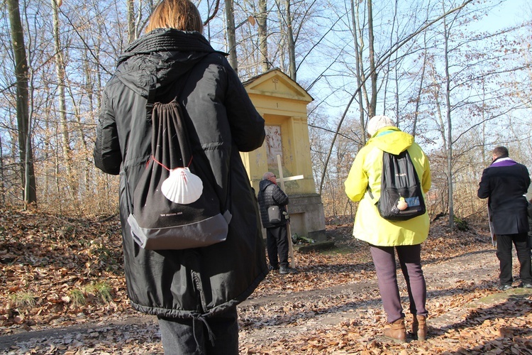 Trzebnica. Droga Krzyżowa w duchu Camino