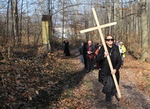 Trzebnica. Droga Krzyżowa w duchu Camino