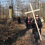 Trzebnica. Droga Krzyżowa w duchu Camino