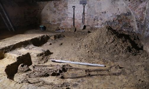 Pszczyna. Zaskakujące efekty prac archeologów w kościele Wszystkich Świętych