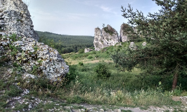 Skałki w Mirowie