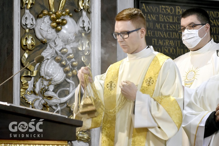Rozpoczęcie Roku Rodziny w Świdnicy