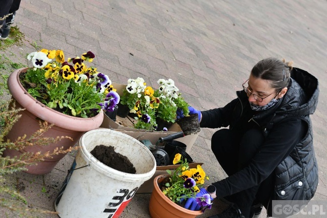 Przdświąteczne porządki przy kościele 