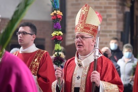 Emocje zastąpiły rozum i sumienie