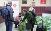 500 świątecznych paczek Caritas i "Brata Alberta" dla potrzebujących