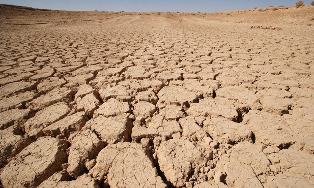 Papież otwiera nam oczy na skutki kryzysu klimatycznego