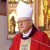 Bp Dajczak: Krzyż jest zwierciadłem 