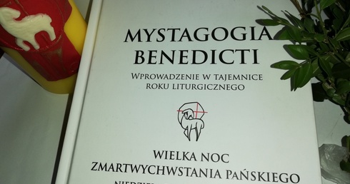 W oczekiwaniu na Światło 