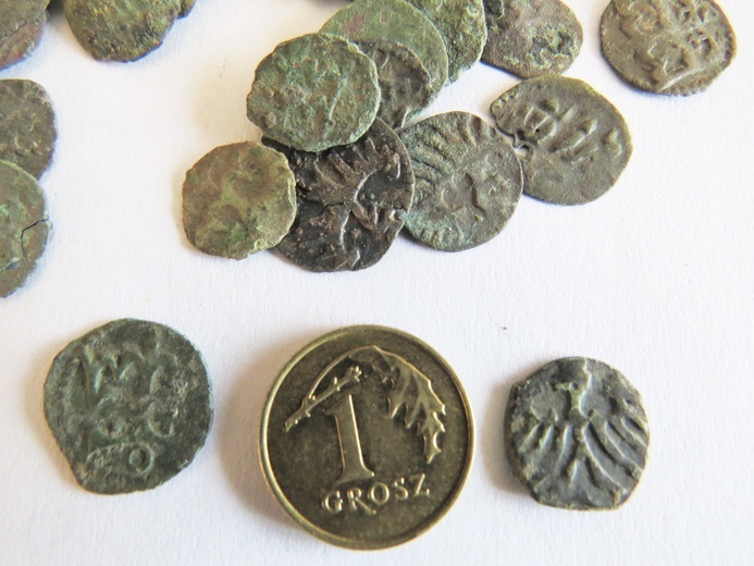 Skarb odnaleziony w Goźlicach. 