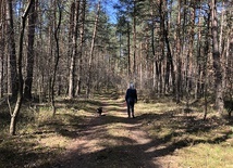 Mieszkańcy Stalowej Woli cenią sobie tereny na Ciemnym Kącie.