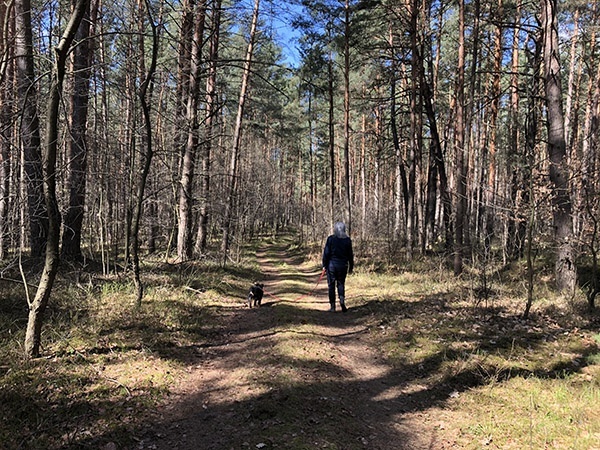 Mieszkańcy Stalowej Woli cenią sobie tereny na Ciemnym Kącie.