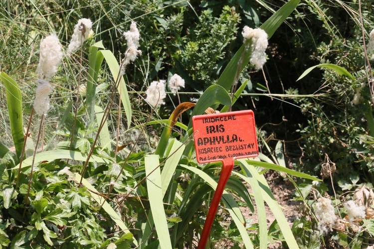 Barwy ogrodu botanicznego