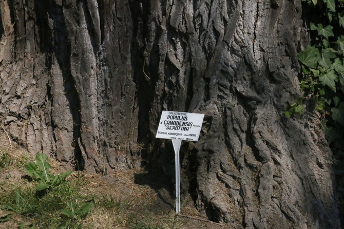 Barwy ogrodu botanicznego