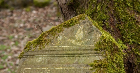 Sprzątanie na żydowskim cmentarzu w Świdwinie 