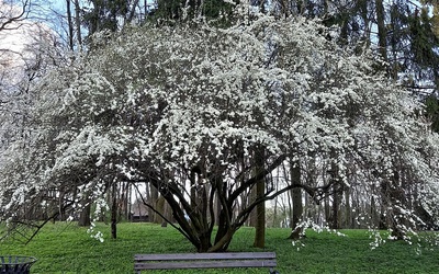 Natura uczciła Dzień Ziemi