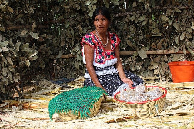 Mieszkańcy Mexico City dostarczają wodę na osiołkach