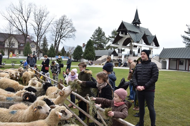 Święto Bacowskie w Ludźmierzu