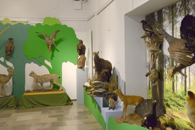Dwie nowe wystawy w radomskim muzeum