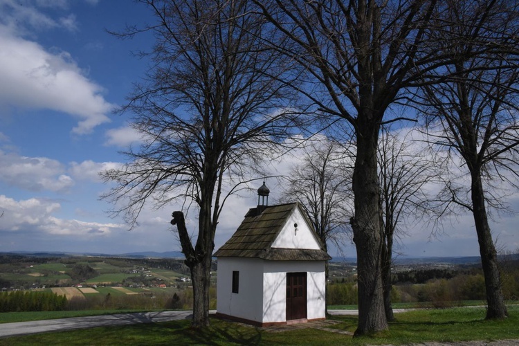 Kwiatonowice. Dedykacja kościoła