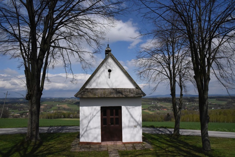 Kwiatonowice. Dedykacja kościoła