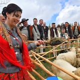 Święto Bacowskie na Tarasówce