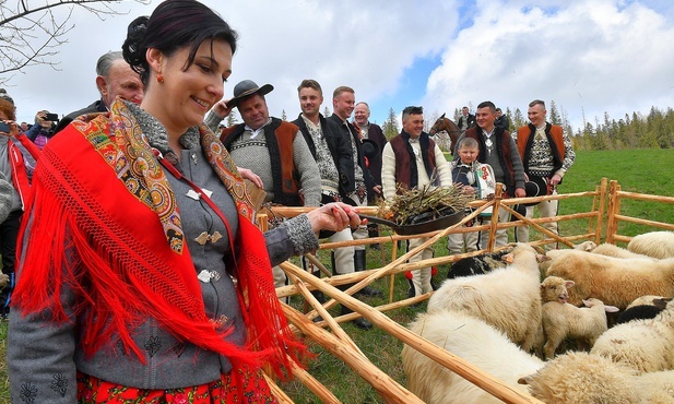 Tarasówka. Owce na halach i majowy śnieg 