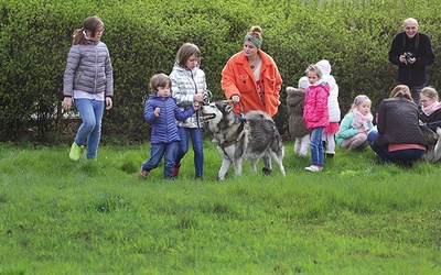 Husky uwielbiają być w ruchu, dlatego spotkanie z dziećmi jest dla nich radością. 