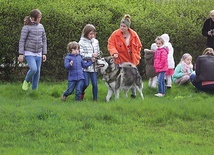 Husky uwielbiają być w ruchu, dlatego spotkanie z dziećmi jest dla nich radością. 
