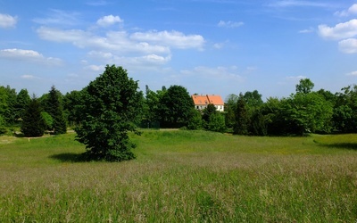 Region. Mieszkańcy województwa śląskiego coraz częściej osiedlają się w małych miejscowościach