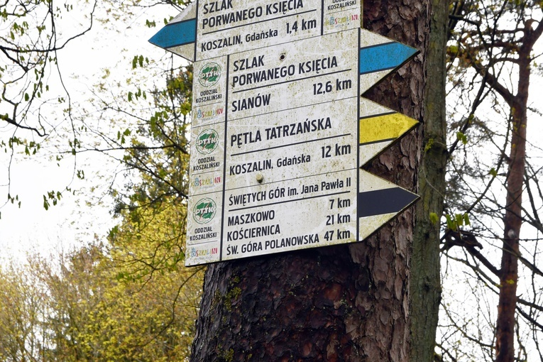 Pielgrzymka powołaniowa