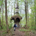 Pałac i park Schaffgotschów w Kopicach. Akcja sprzątania