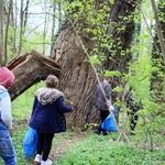 Pałac i park Schaffgotschów w Kopicach. Akcja sprzątania